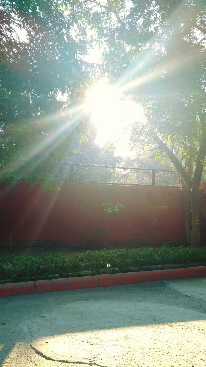 sunshine