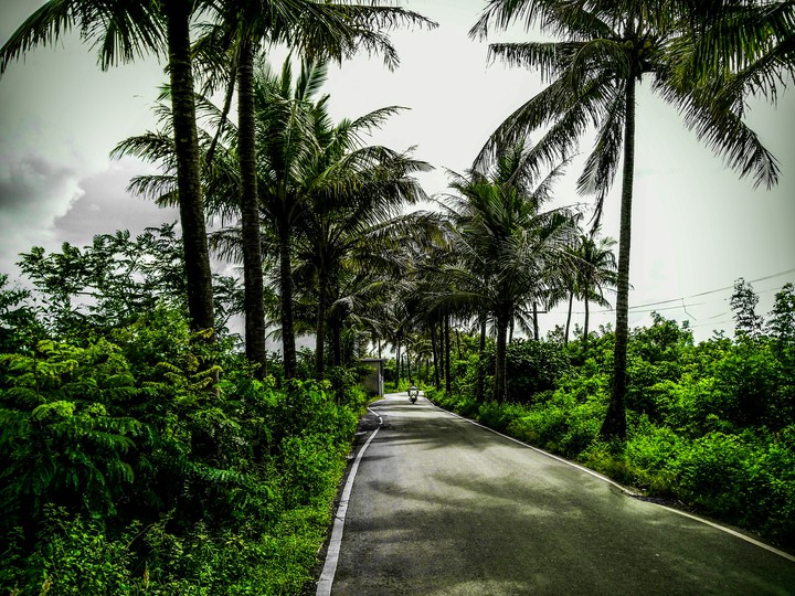 goa