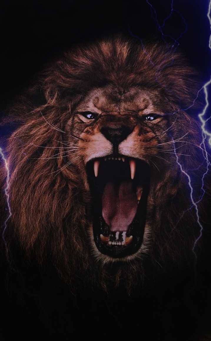 king lion