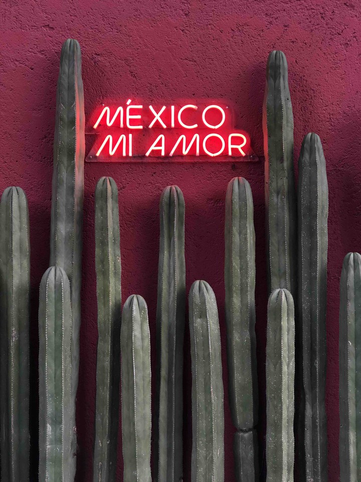 Mi México