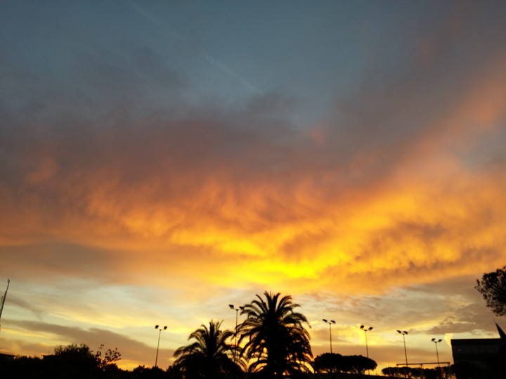 alba