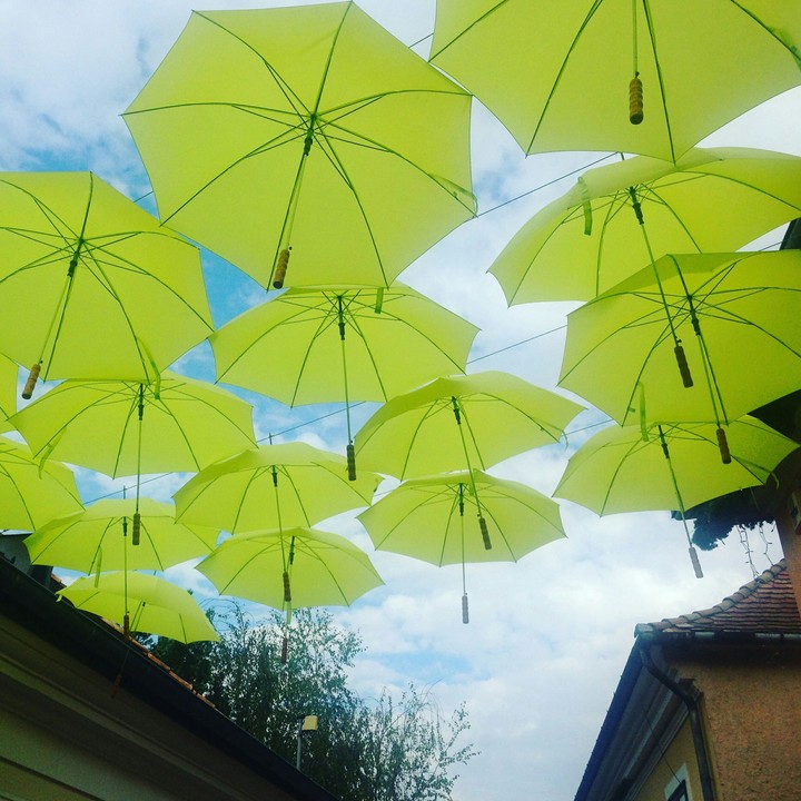 Out of the box. Umbrella roof