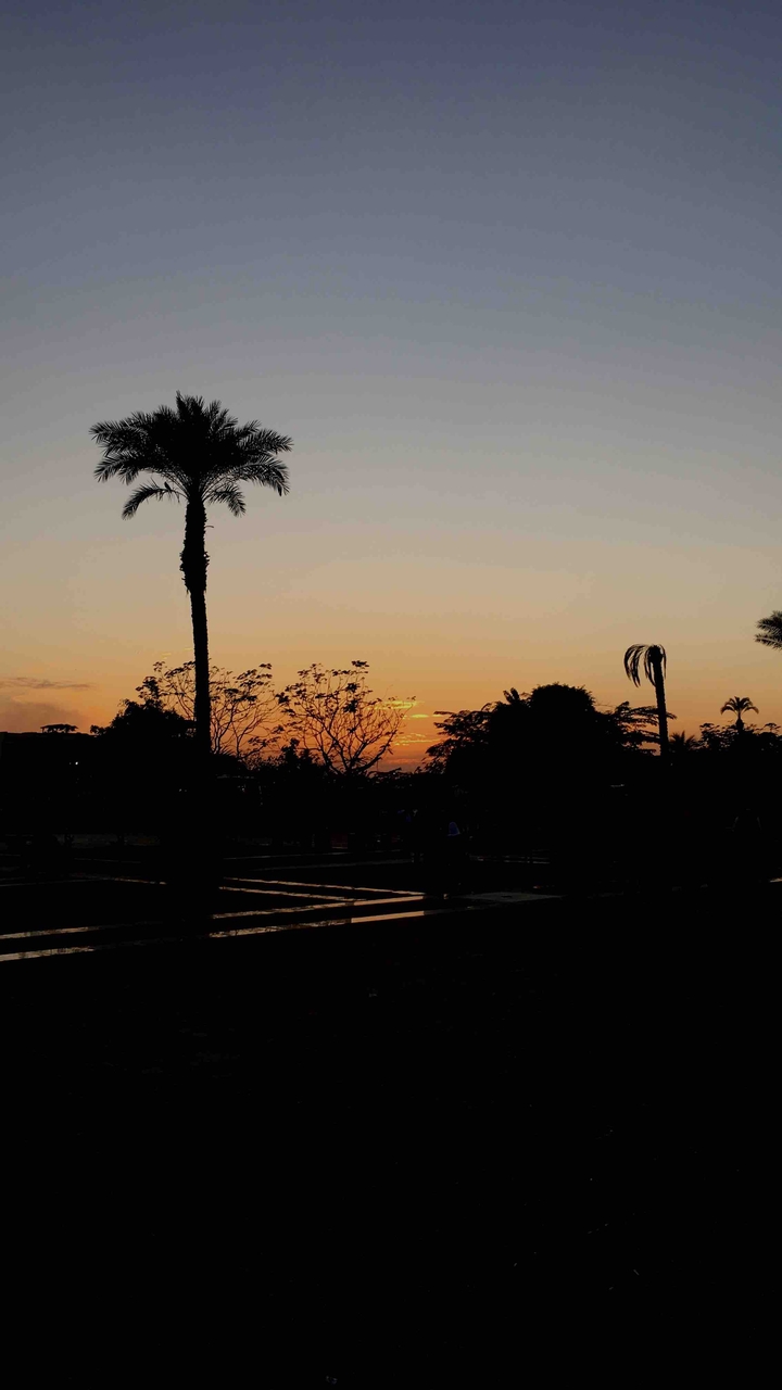 aswan