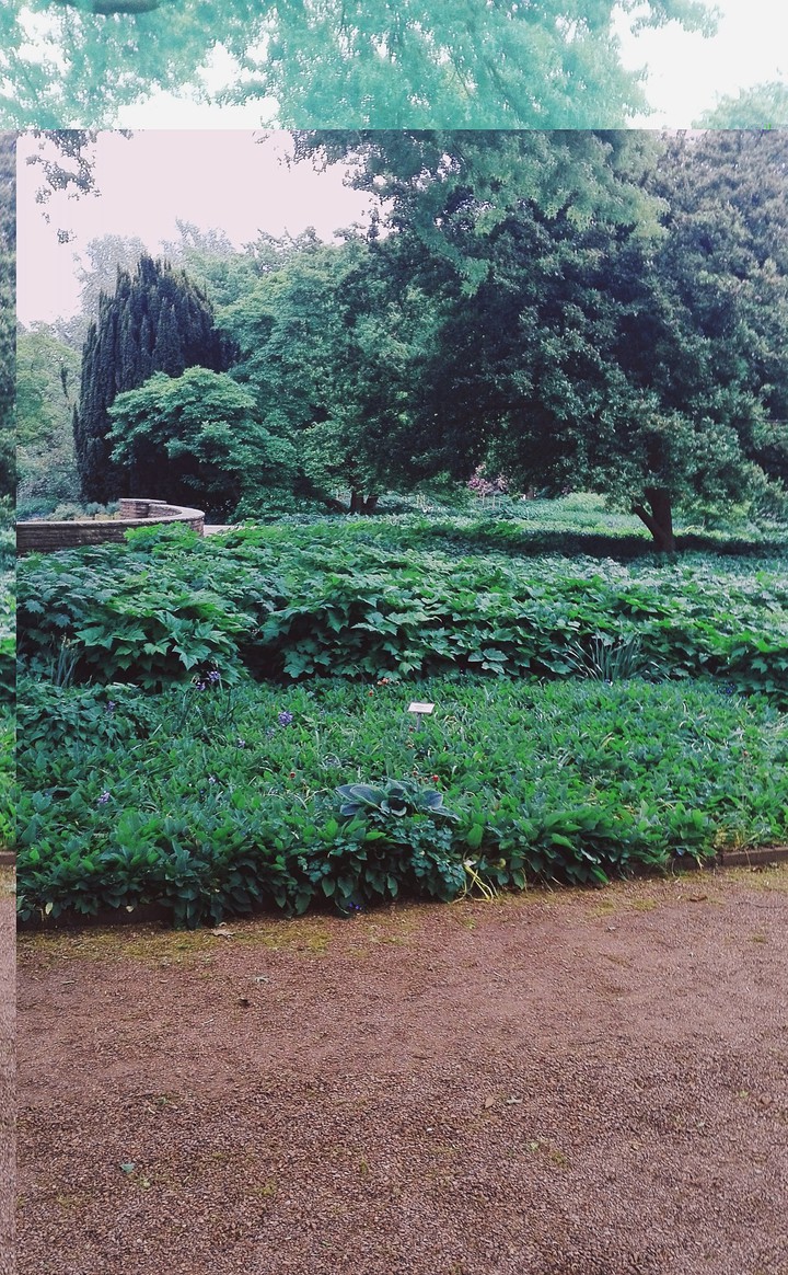 Green Silence