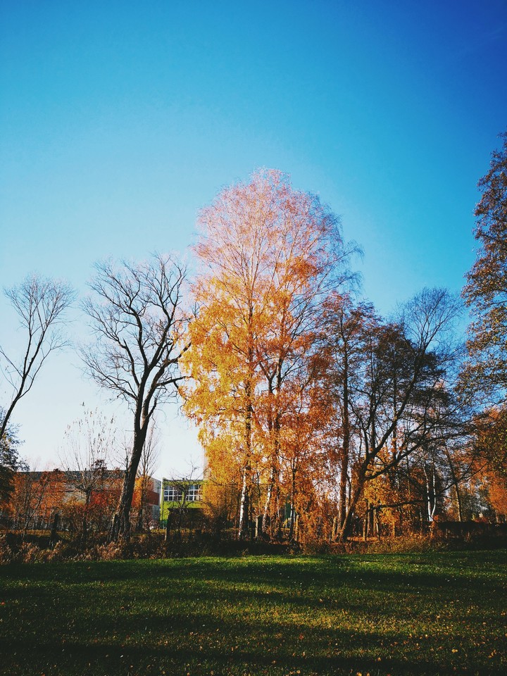 park