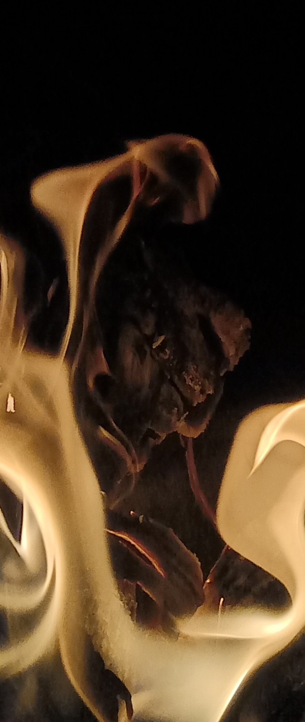 beast in fire