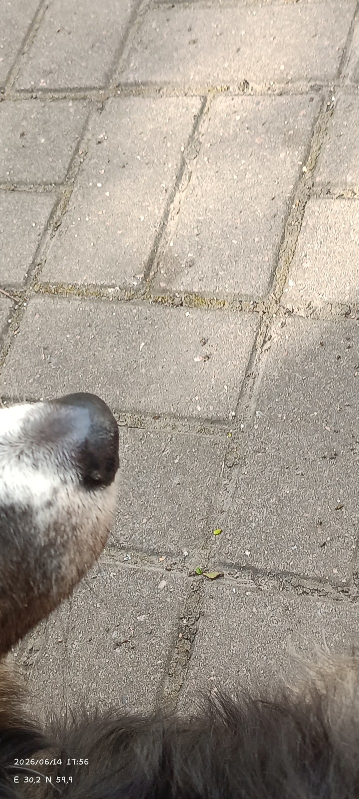 .