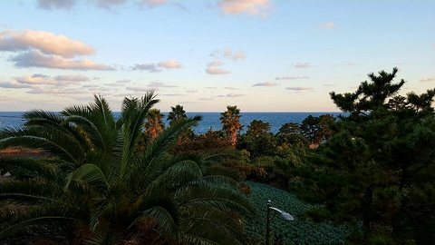 제주도