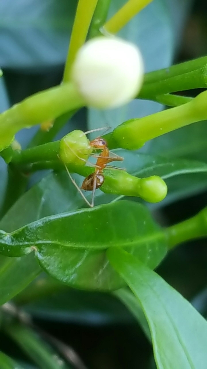 The First Bite ( Morning Breakfast)