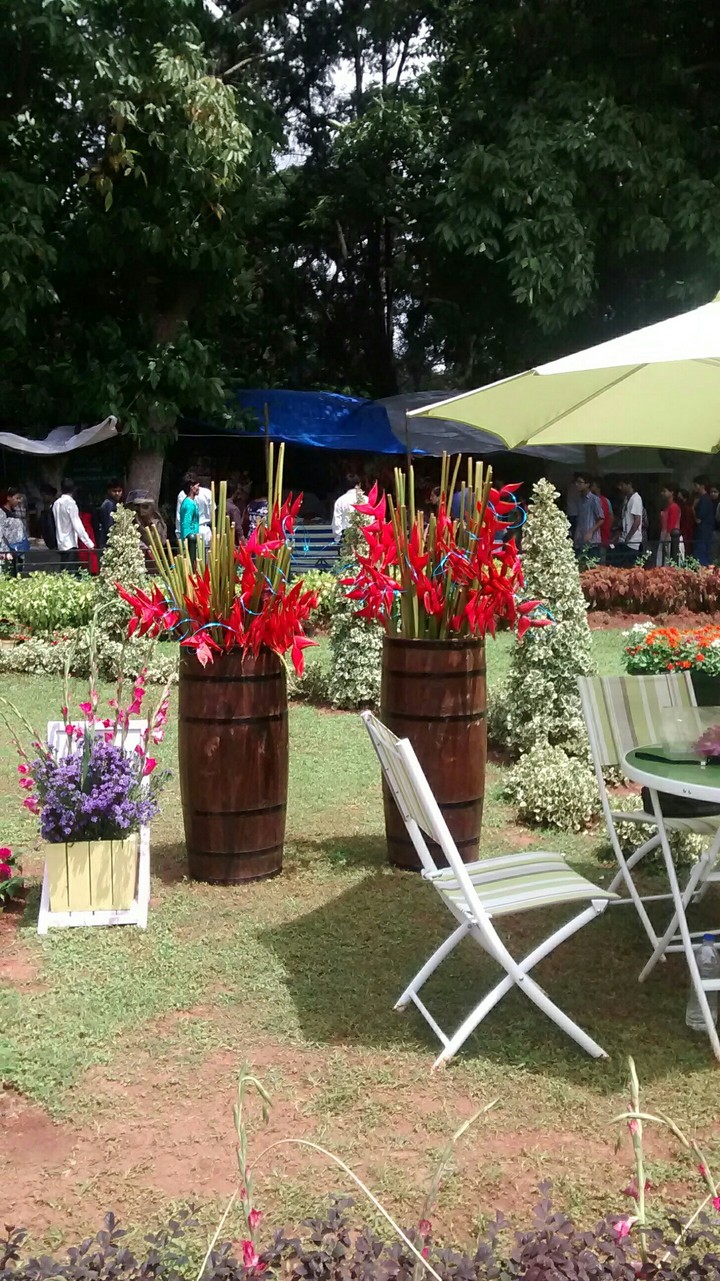 garden decoration
