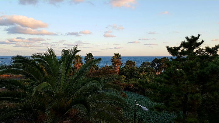 제주도