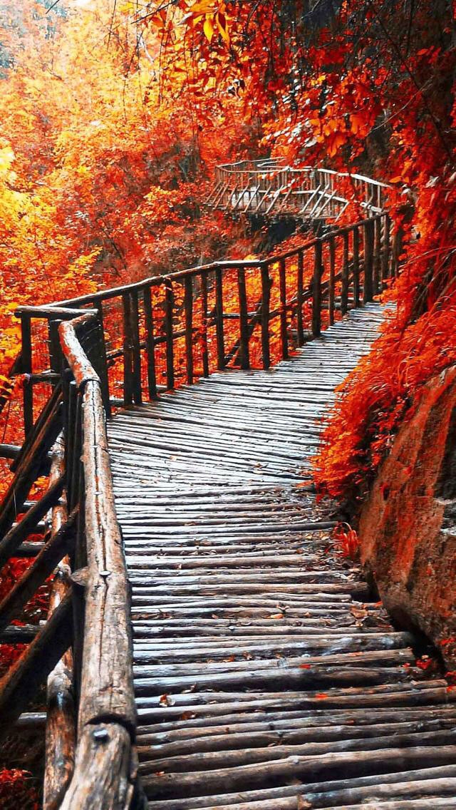 #bridge