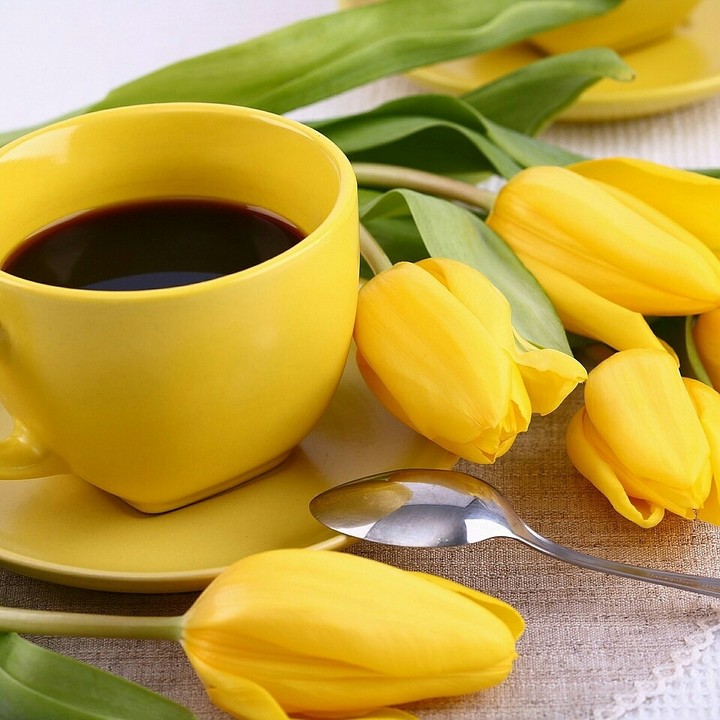 FOR MY ALL FRIEND'S