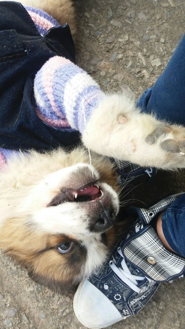 cute coco