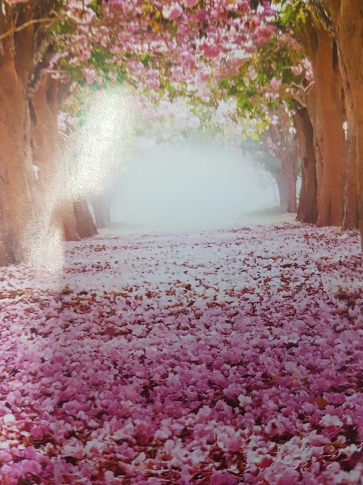 blossom