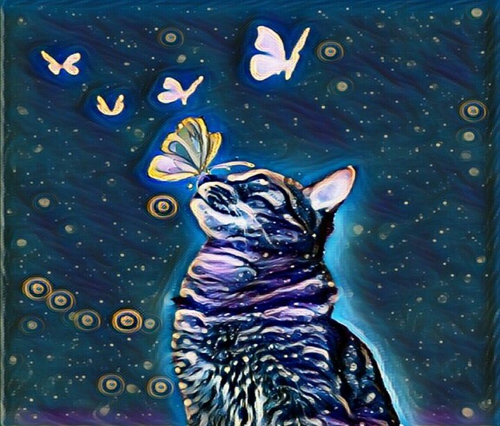 cat and butterflies