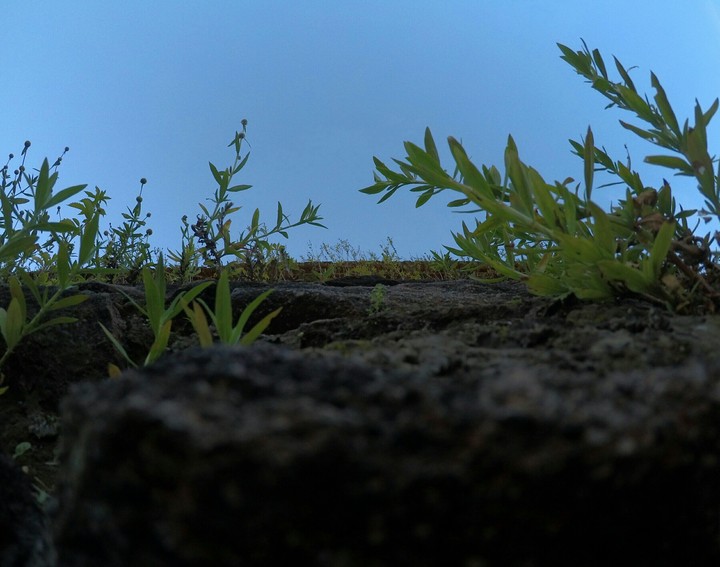building vs nature