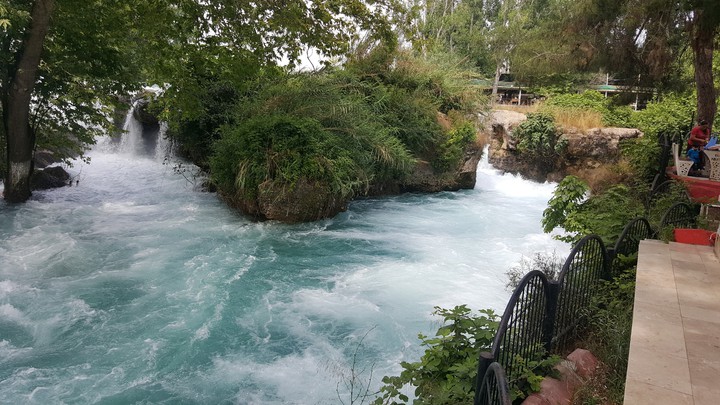 Tarsus