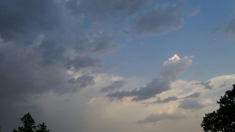 nature love