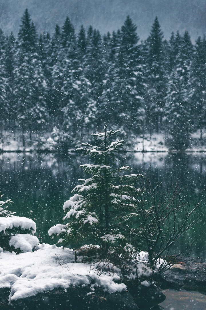 Snow