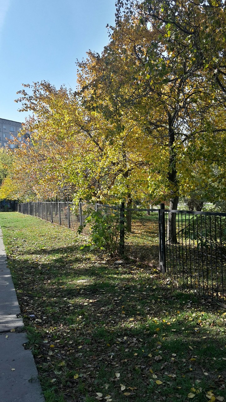autumn