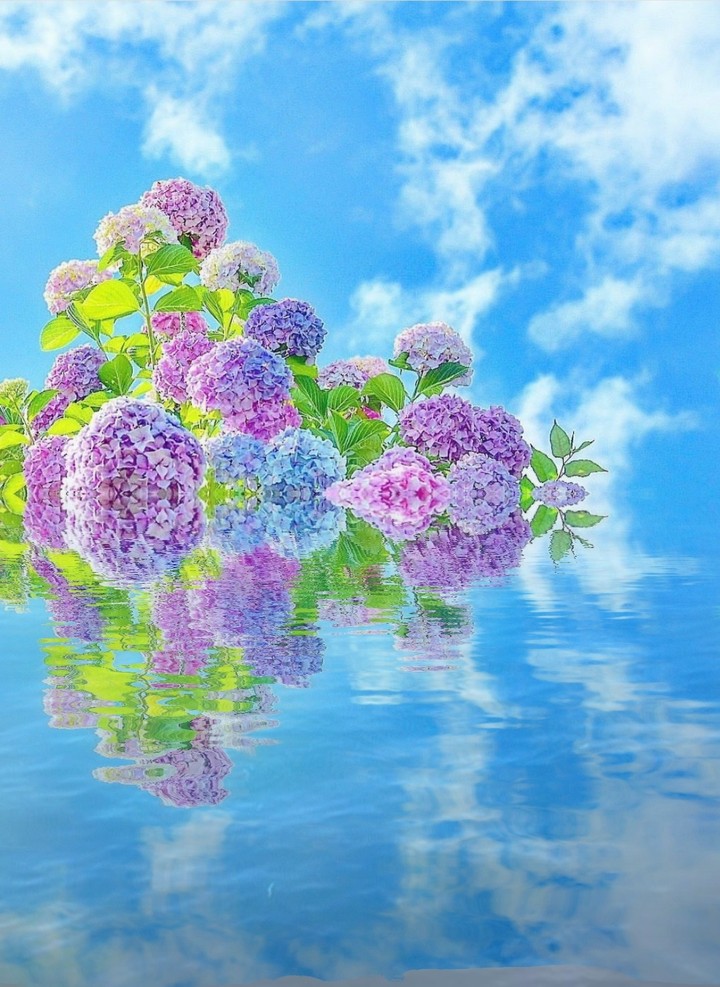 reflection
