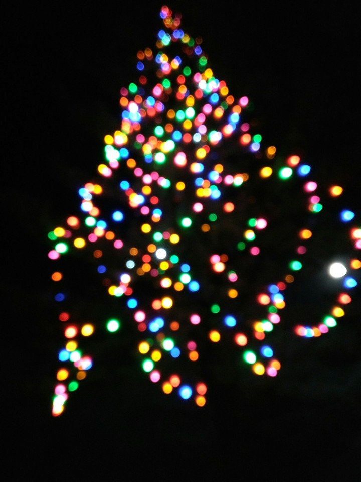 Bokeh Christmas Tree