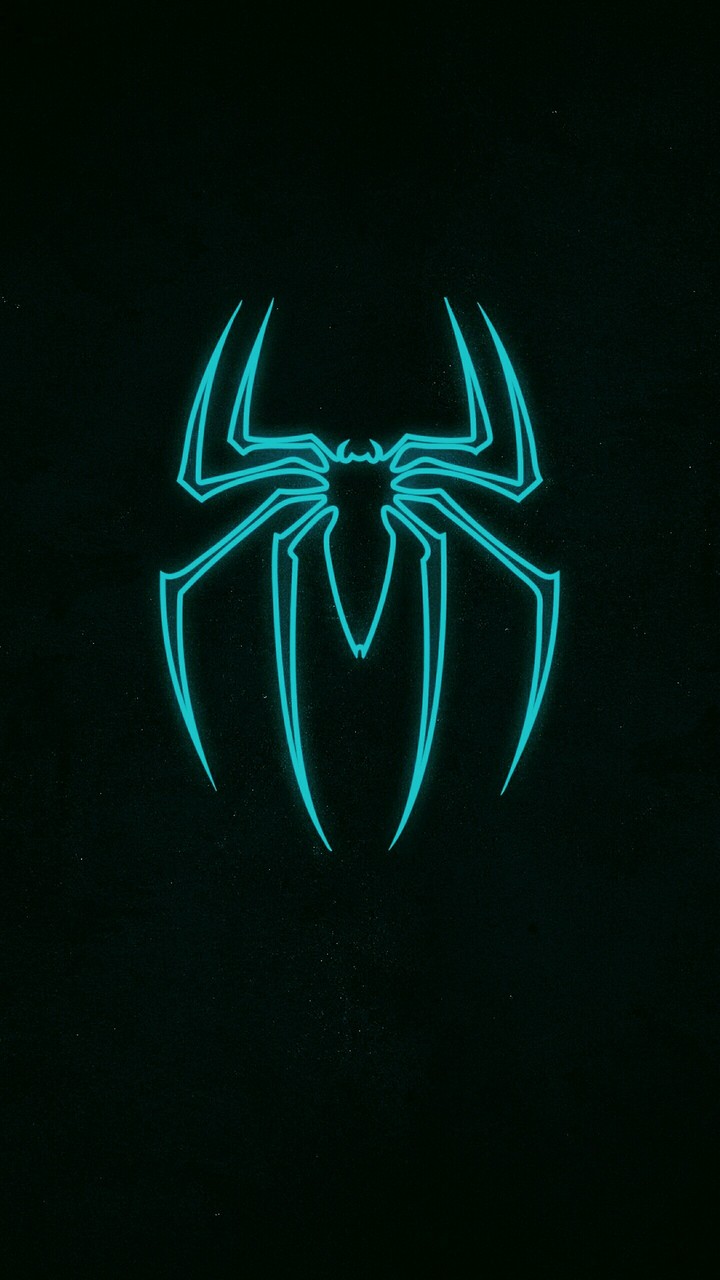 spider