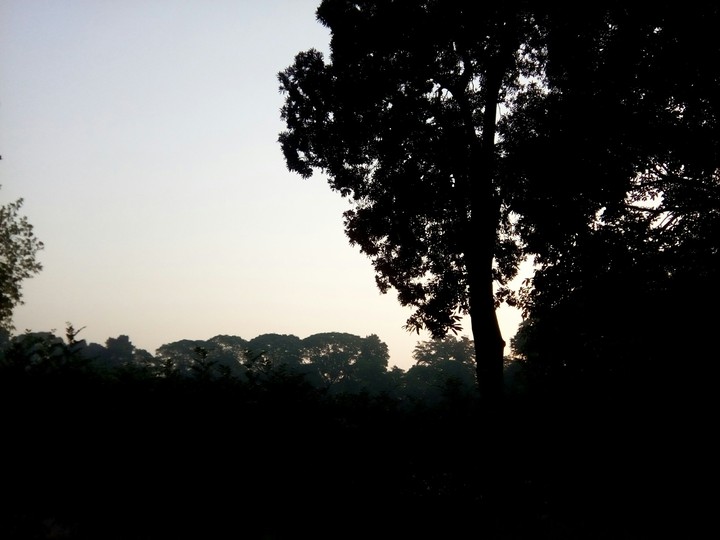Shadow