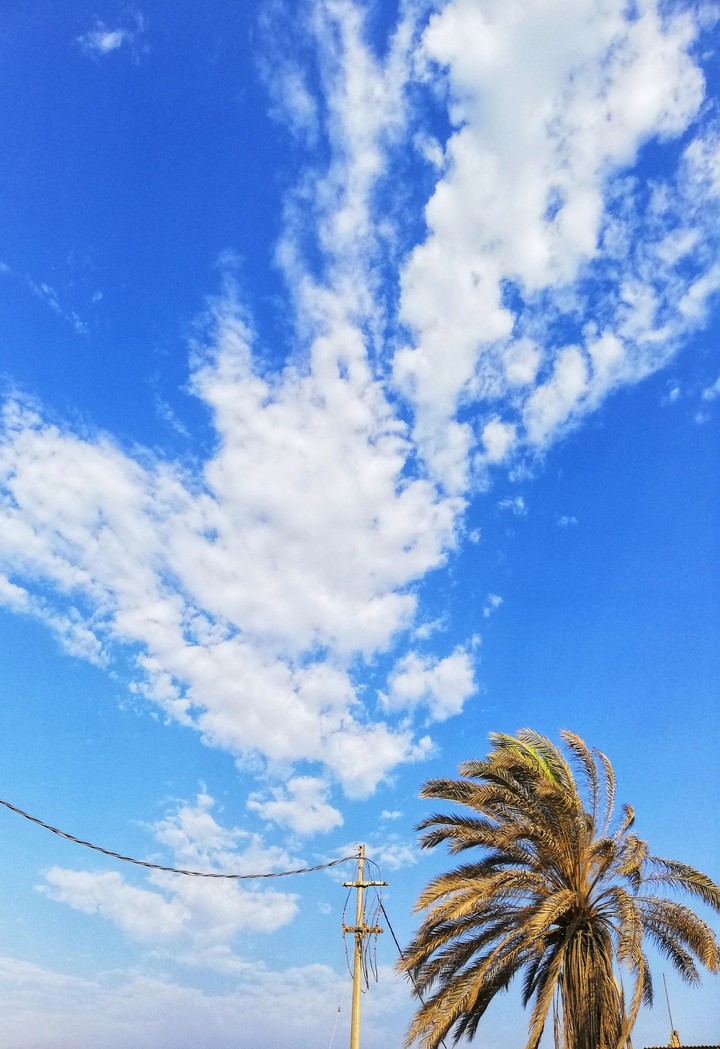 Sky