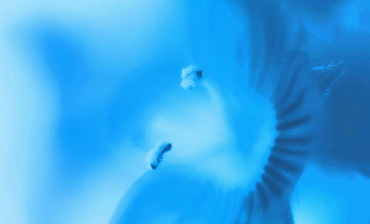 , I feel the Blues