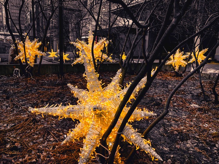 Yorkville star