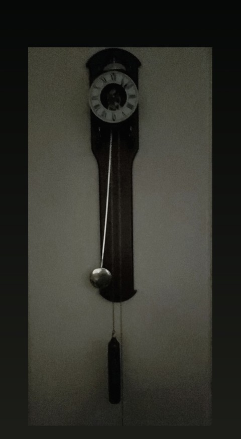 time flies