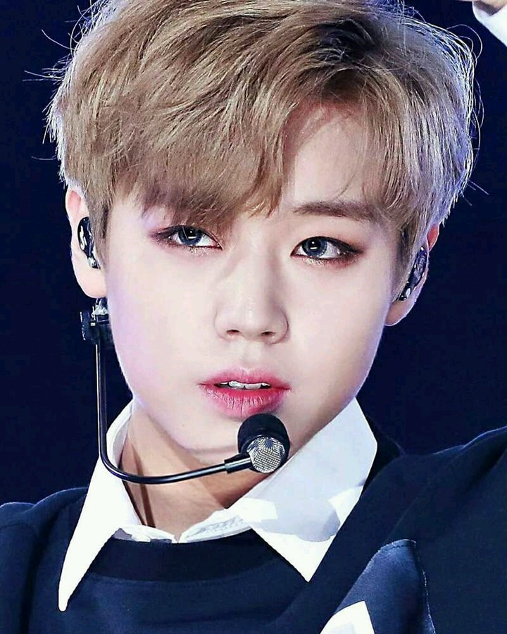 oppa
