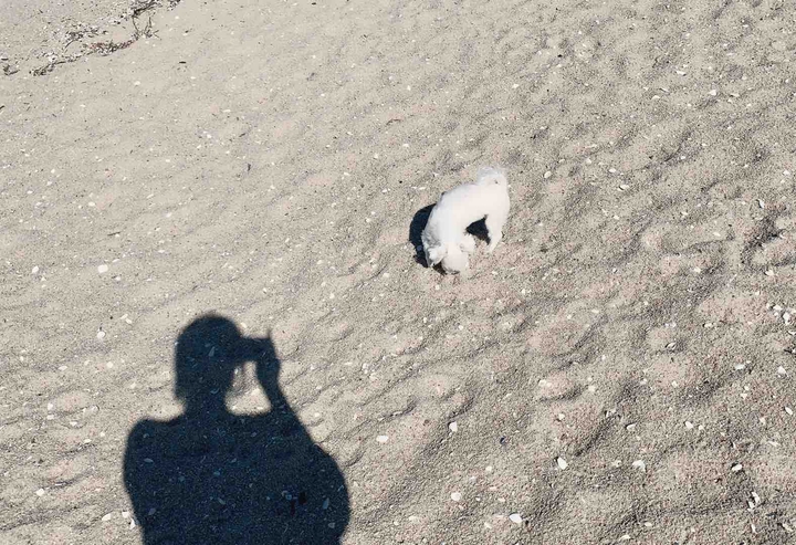 어쩌다여행?