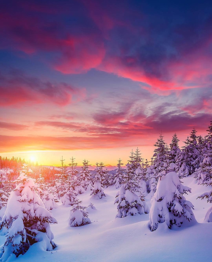 winter