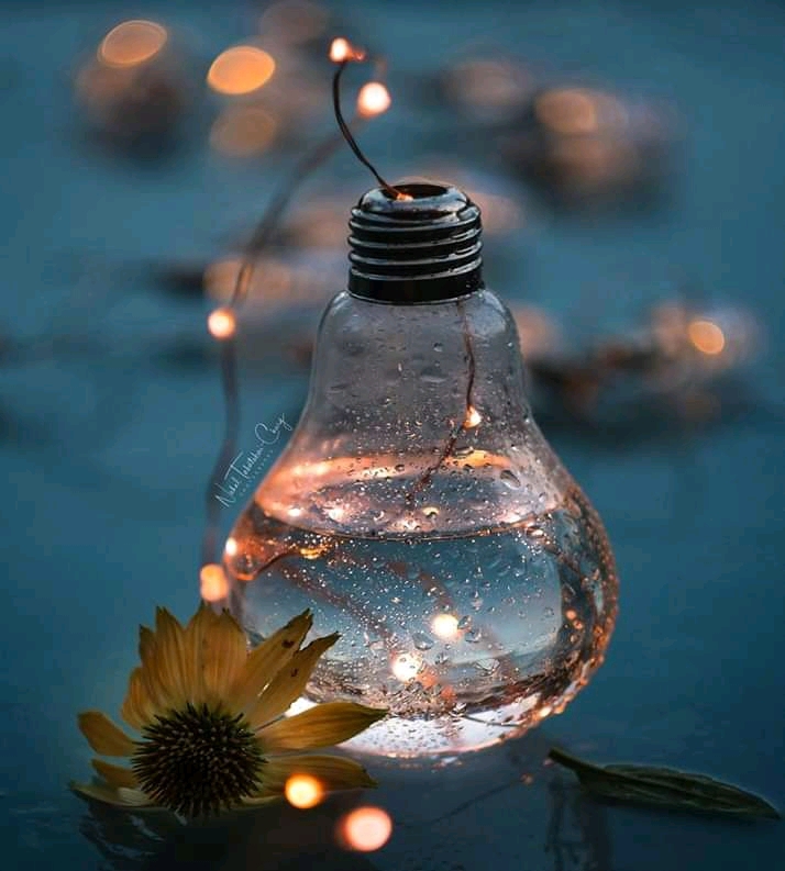 photography ?