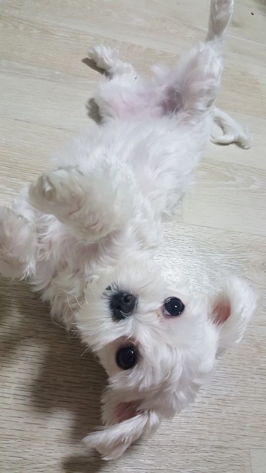 우리