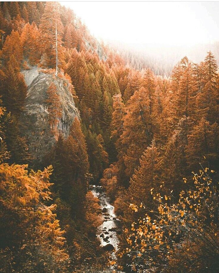 Осень. Горы.