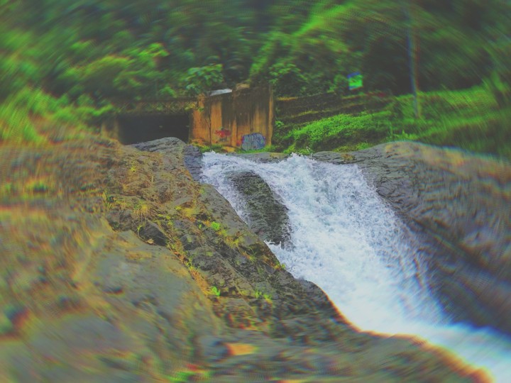 Ikku