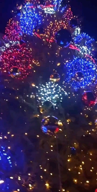 tree