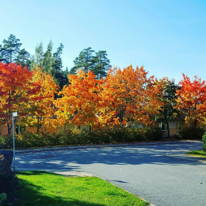 Autumn