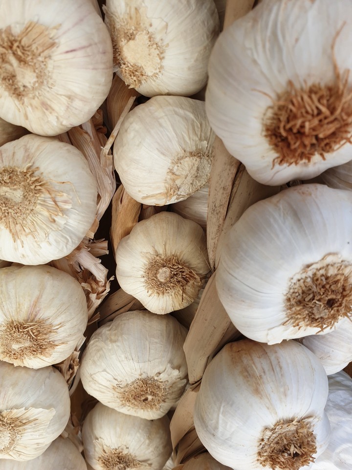 Spanien Knoblauch