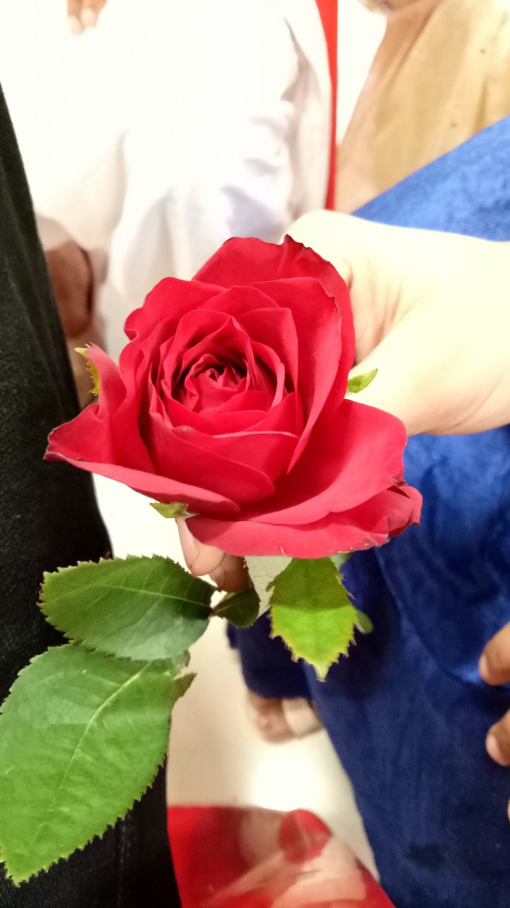 rose