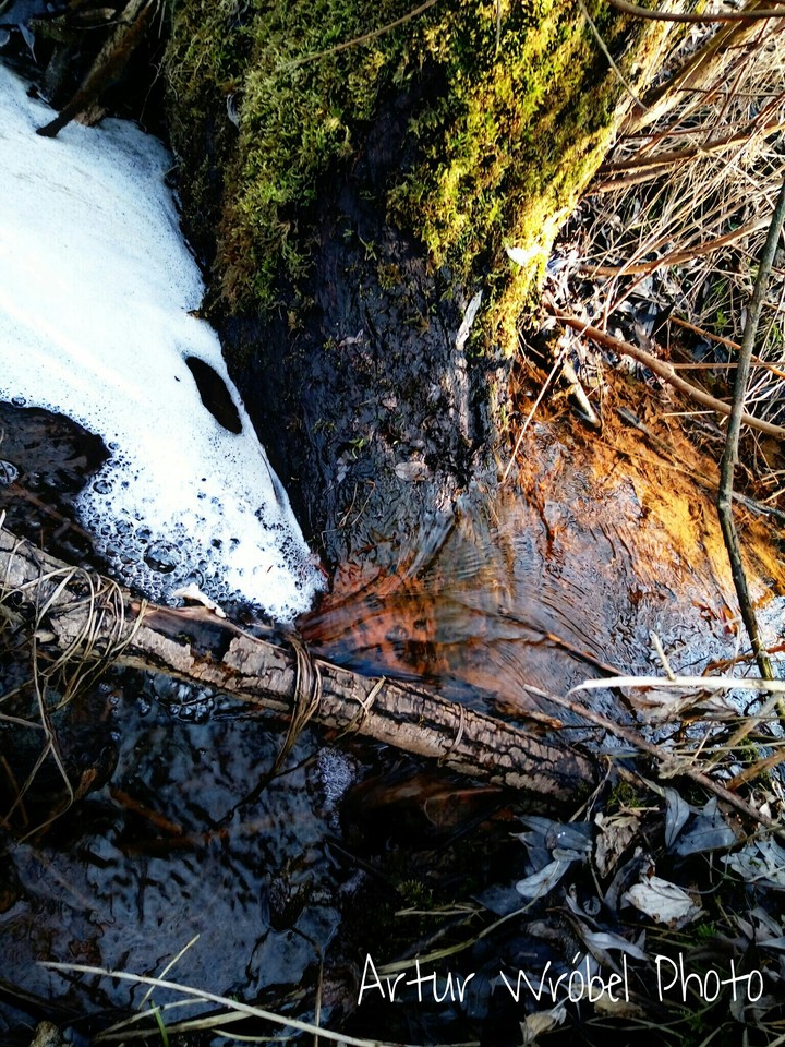 Water