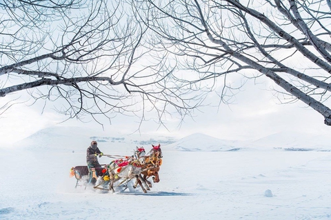 sfondi winter, Sled