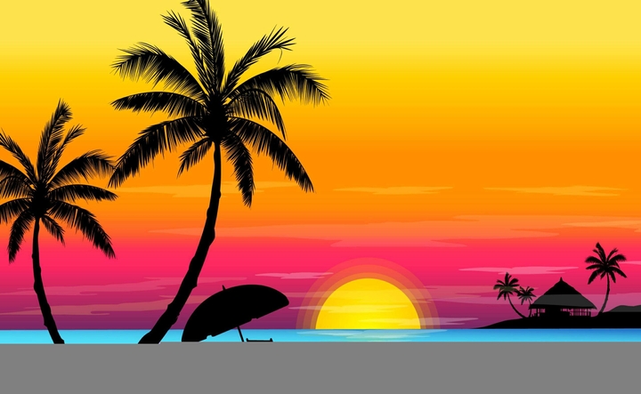 Palm trees