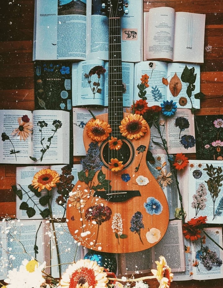 Guitar