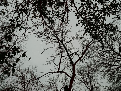Cold fall