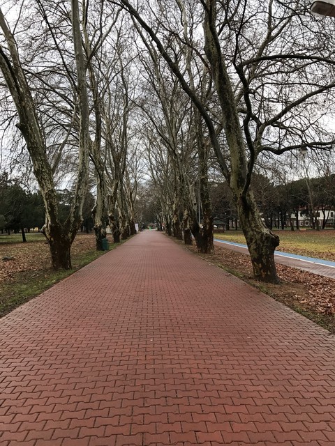 Gebze Teknik Üniversitesi